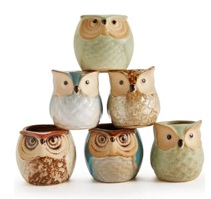 6-Piece Owl Pot Ceramic Glaze Base Set